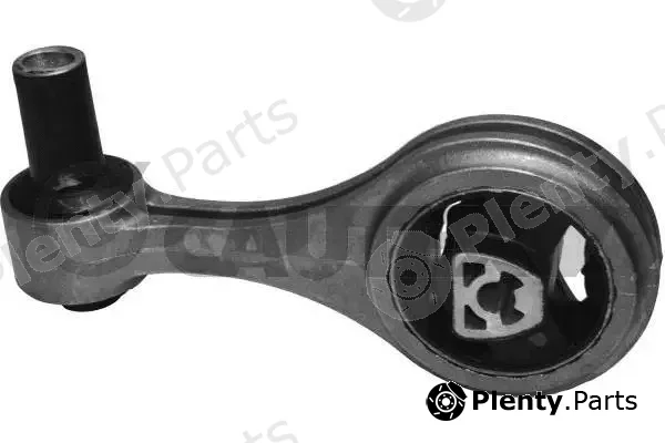 Cautex 756119 — Mounting, engine