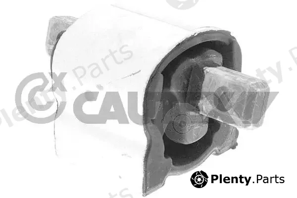 Cautex 761858 — Mounting, engine