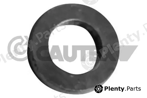 Cautex 750024 — Seal Ring, injector