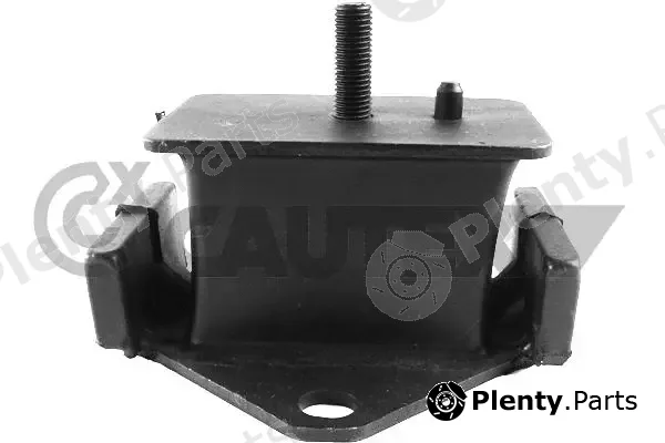 Cautex 772646 — Mounting, engine
