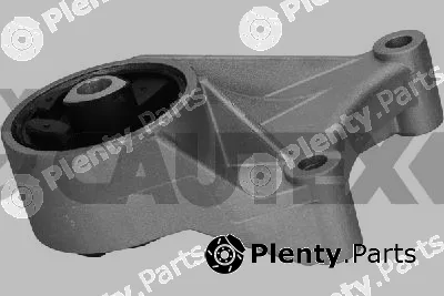 Cautex 775771 — Mounting, engine