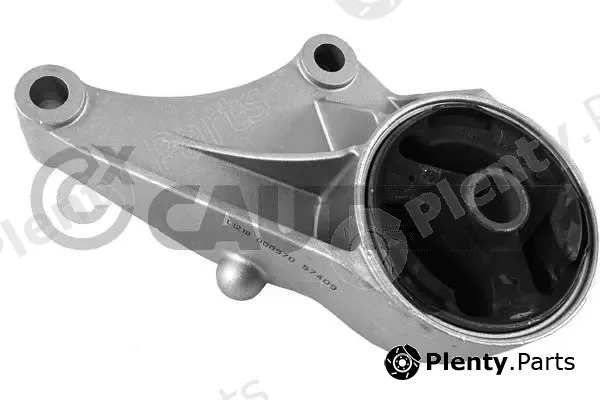 Cautex 756440 — Mounting, engine