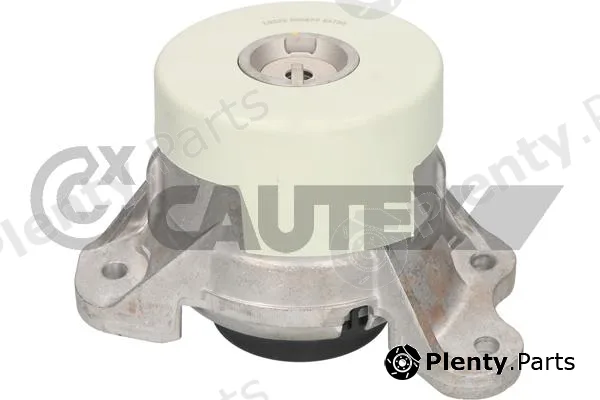 Cautex 776541 — Mounting, engine