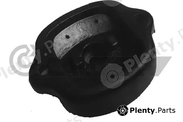 Cautex 180063 — Mounting, engine