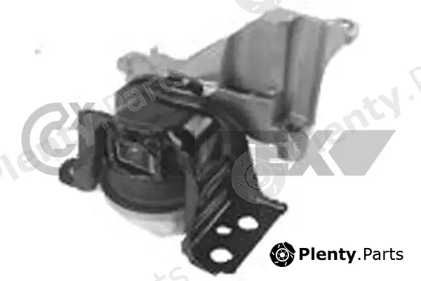 Cautex 756237 — Mounting, engine