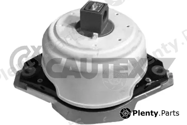 Cautex 773746 — Mounting, engine