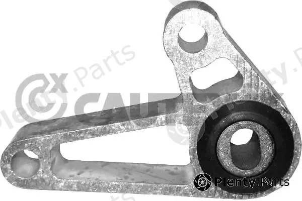 Cautex 756265 — Mounting, engine