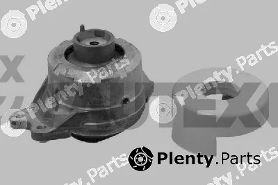 Cautex 776209 — Mounting, engine