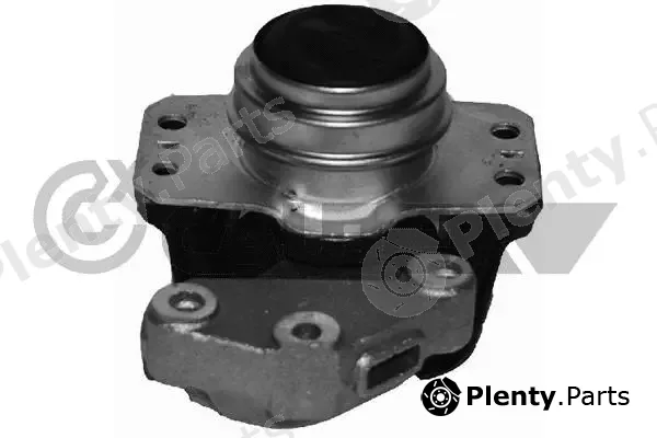 Cautex 031505 — Mounting, engine