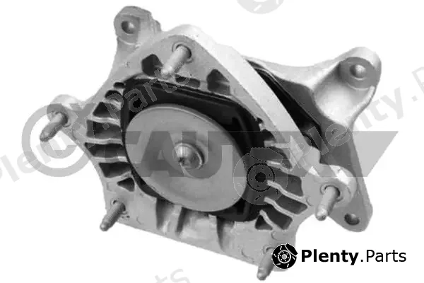 Cautex 759262 — Mounting, automatic transmission