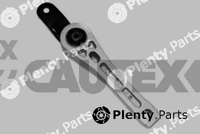 Cautex 776151 — Mounting, engine