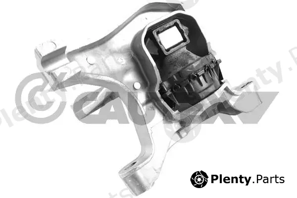 Cautex 759780 — Mounting, engine