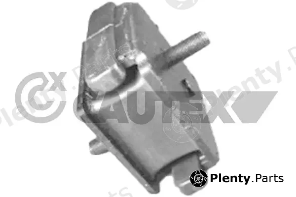 Cautex 760968 — Mounting, engine
