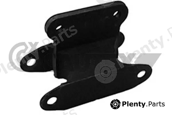 Cautex 010298 — Mounting, engine