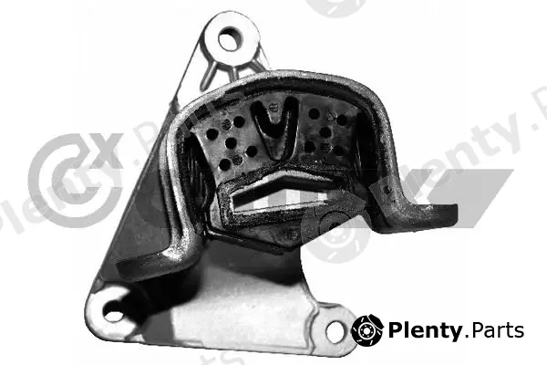 Cautex 756081 — Mounting, engine