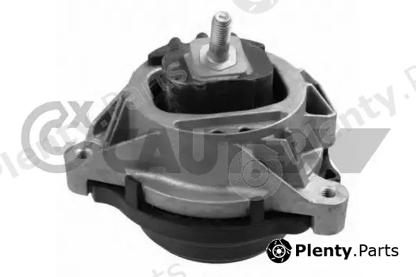 Cautex 759279 — Mounting, engine