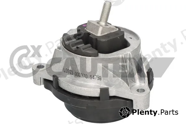 Cautex 776491 — Mounting, engine