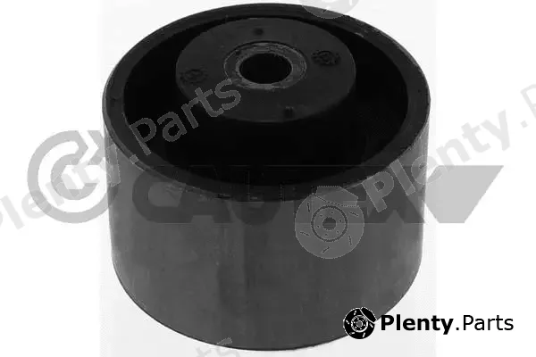 Cautex 774282 — Mounting, engine