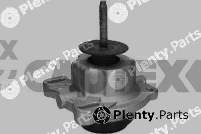 Cautex 775569 — Mounting, engine