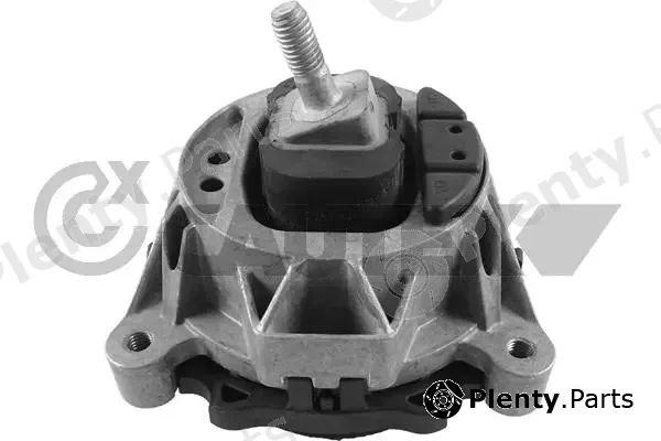 Cautex 760647 — Mounting, engine