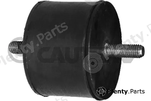 Cautex 010105 — Mounting, engine