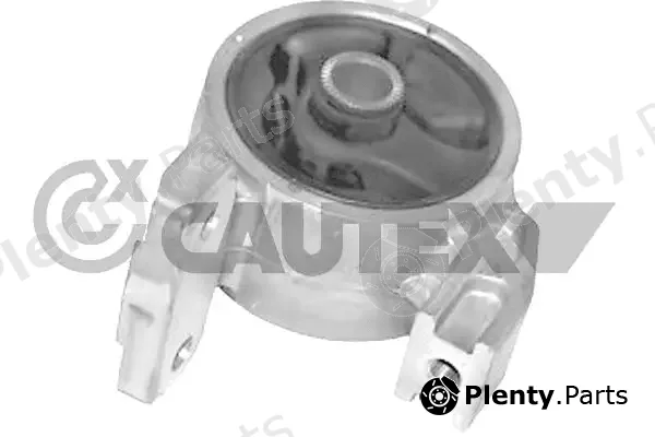 Cautex 773500 — Mounting, engine