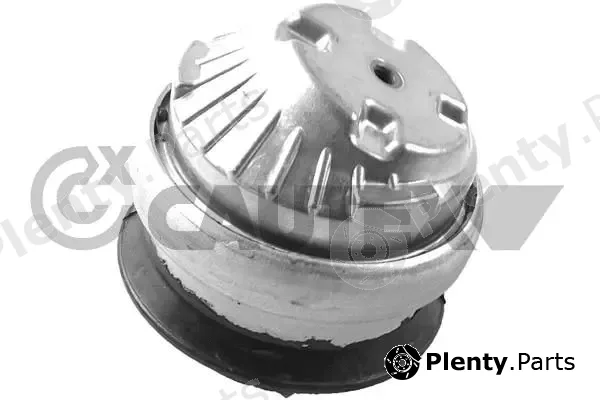 Cautex 753625 — Mounting, engine