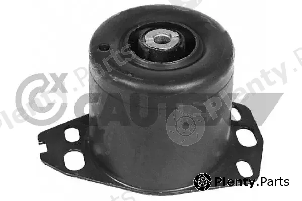 Cautex 011258 — Mounting, engine