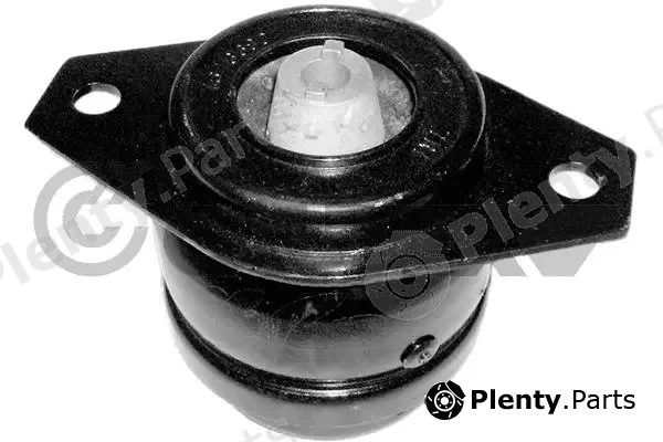 Cautex 770866 — Mounting, engine