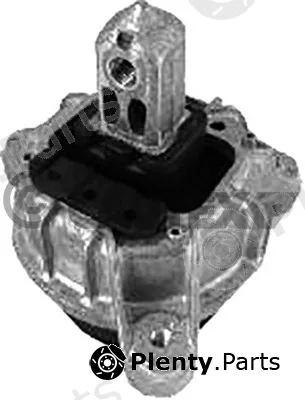 Cautex 760582 — Mounting, engine