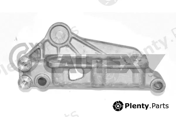Cautex 759293 — Mounting, engine