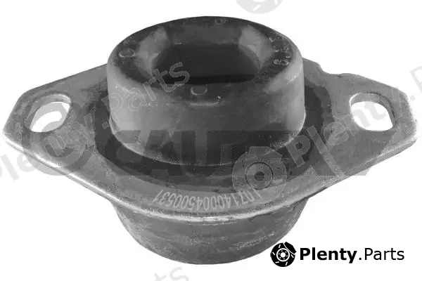 Cautex 030162 — Mounting, engine