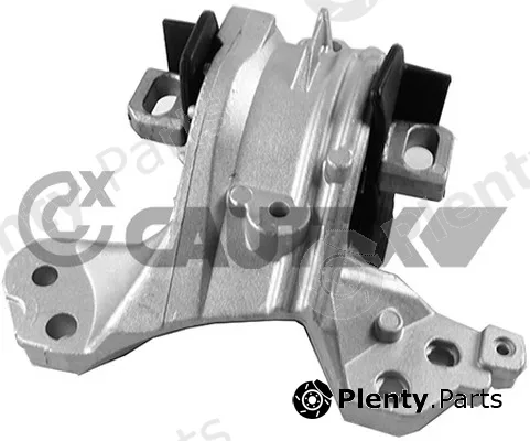 Cautex 755936 — Mounting, engine