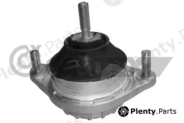 Cautex 460156 — Mounting, engine