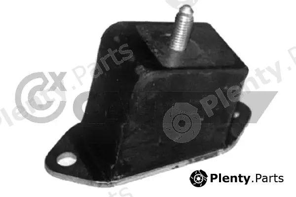 Cautex 020219 — Mounting, engine