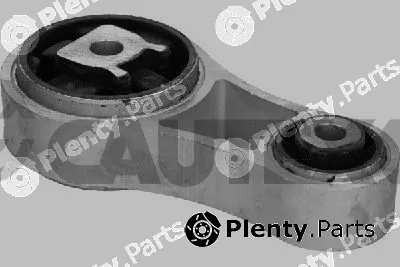 Cautex 021120 — Mounting, engine