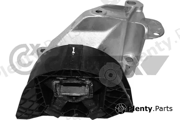 Cautex 759315 — Mounting, engine