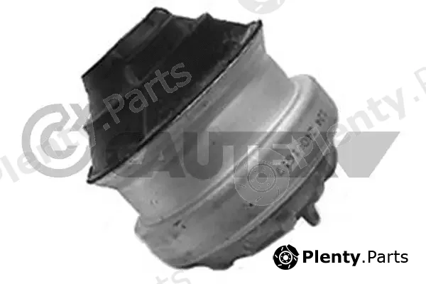 Cautex 180170 — Mounting, engine