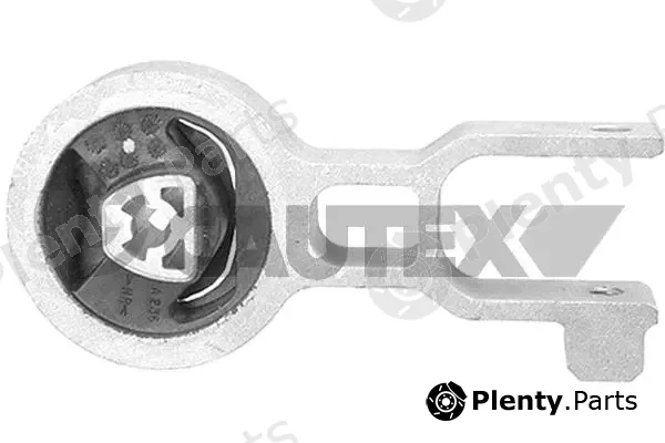 Cautex 011086 — Mounting, engine