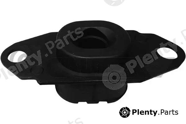 Cautex 756505 — Mounting, engine