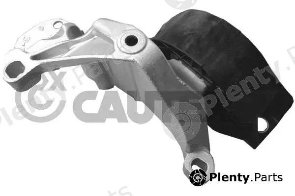 Cautex 770685 — Mounting, engine