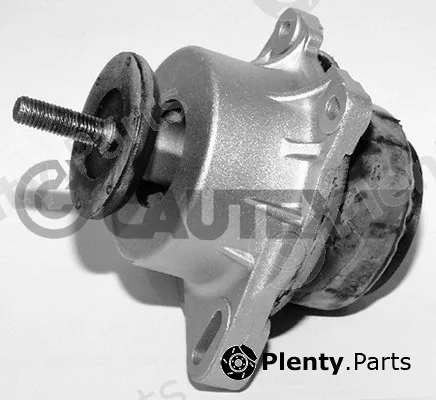 Cautex 081154 — Mounting, engine