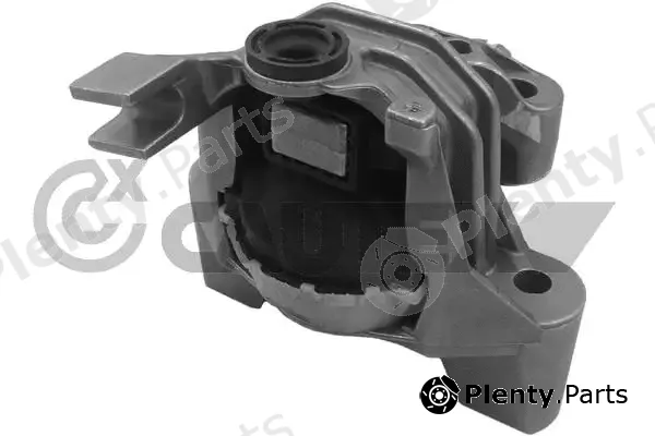 Cautex 011255 — Mounting, engine