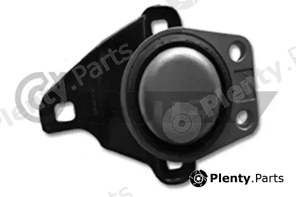 Cautex 081010 — Mounting, engine