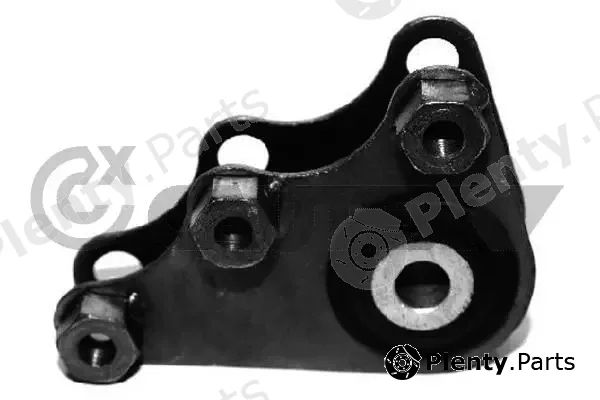Cautex 756066 — Mounting, engine