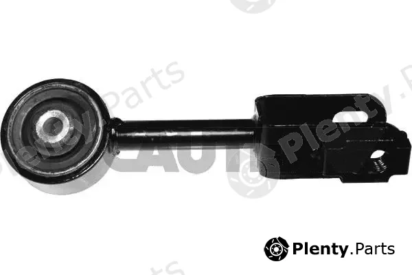 Cautex 756918 — Mounting, engine