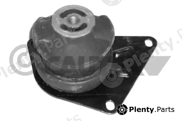 Cautex 460920 — Mounting, engine