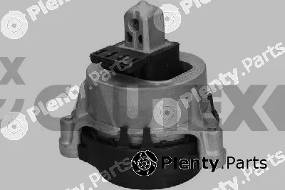 Cautex 775755 — Mounting, engine