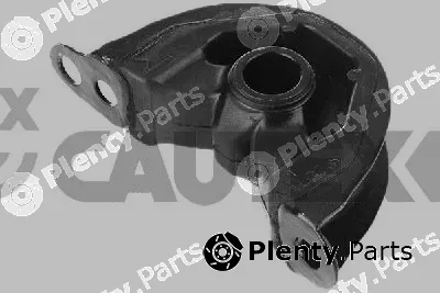 Cautex 701011 — Mounting, engine
