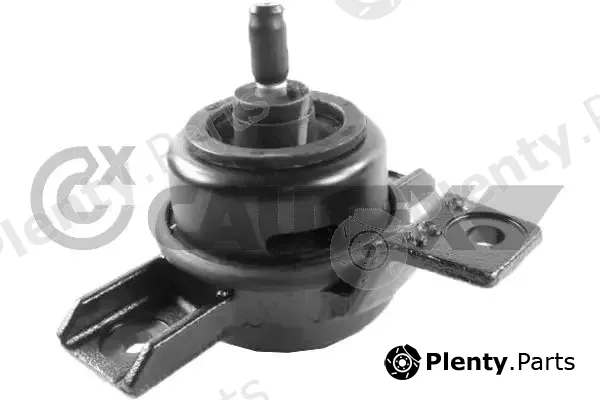 Cautex 756344 — Mounting, engine
